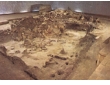Neolithic dwellings in Stara Zagora (6,000 BC)