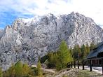 Vrsic