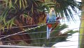 DSC02606