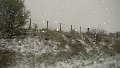 DSC03055