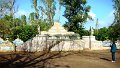 DSC03365