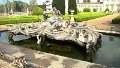 DSC03371