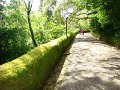 DSC03424