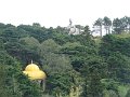 DSC03447