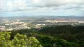 DSC03453
