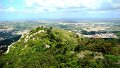 DSC03455