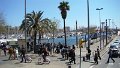 DSC03541