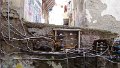 DSC03886