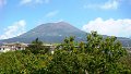 DSC03901