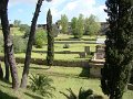DSC03905