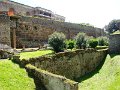 DSC03906