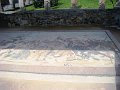 DSC03940