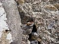 DSC03952