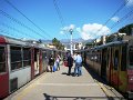 DSC03960