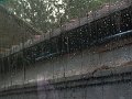100_5616