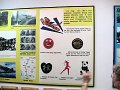 IMG_0350