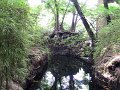 IMG_0362
