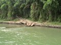 IMG_0447