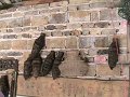 IMG_0525
