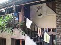 IMG_0529