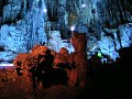 IMG_0577