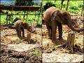 001LesThailand14