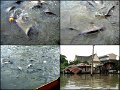 001LesThailand5