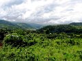 IMG_2911