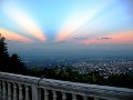 IMG_2943