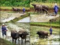 003SlideShowNthVietnam53