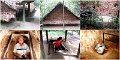 004LesSthVietnam3