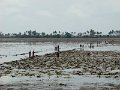 DSC07826