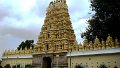 DSC08219