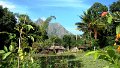 DSC08387
