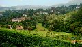 DSC08498