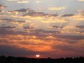 IMG_7039