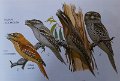20170910_082606