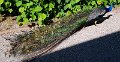 20180529_234825