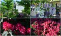 1-6_Nikon