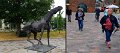 4-6_Warnemunde16
