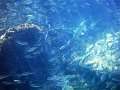 DSCF0070