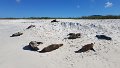 20180114_071923
