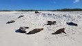 20180114_071929