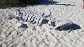 20180114_074455