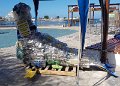 20180115_012825