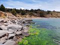 S70120Pan10