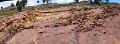 S70120Pan19