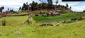 S70120Pan20