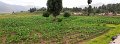 S70121Pan08