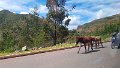 20180126_001647